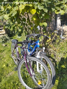 26 er Fahrräder zu verschenken