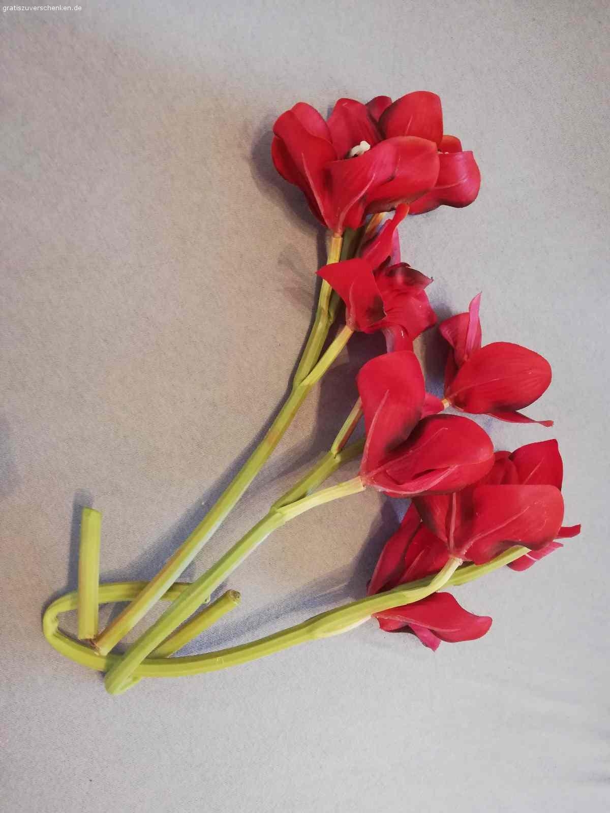 Deko Blumen zu verschenken Möbel Gratis zu verschenken