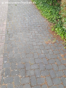 Pflastersteine zu verschenken - top Zustand. Zu verschenken:

Beton Pflastersteine,
Sofort verfügbar wäre die Fläche von 3 Parkplätzen,
über 30qm + diverse Teilsteine stehen bereits ausgebaut und abholbereit direkt am Straßenrand. etwa 14qm sind hellgrau, die übrigen anthrazit bzw. dunkelgrau.  Die Dunkelgrauen sind etwas moderner mit diesen Rillen an den Seiten. 
Die Steine sind ca.: 17,5cm * 11,5cm und ca. 8cm hoch.
zur Selbstabholung, bzw. weitere 15qm zum Selber ausbauen...
ich gebe gerne auch Teilmengen ab.

Die Steine sind völlig ok. An den Seiten noch etwas erdig, aber keine Abgesprungenen Kanten oder sonst was. Halten stabil auch schwere Lasten über Jahrzehnte aus :-) ... wir brauchen nur nicht mehr so viele Parkplätze und wandeln die Fläche in was Grünes um :-)

Es sind auch halbe und Viertelsteine dabei. .. kann mal also ohne mühevolle Sägearbeiten direkt eine Fläche mit auslegen :-)

Abholung wäre in Langenfeld Nähe Hilden/Düsseldorf
..fast jede Zeit möglich, da ich eh im Homeoffice arbeite ...bzw. die Steine stehen ja eh am Straßenrand mit Kennzeichnung, das sie gerne mitgenommen werden dürfen :-)

..wir haben auch noch Gehwegplatten in 30cm * 30cm und 4,8cm hoch übrig, .. die sind aber teilweise mit etwas Mörtelresten an der Unterseite. Aber unter einem Gartenhaus oder als Gartenweg noch gut geeignet.